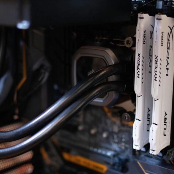 pexels-athena-2582936