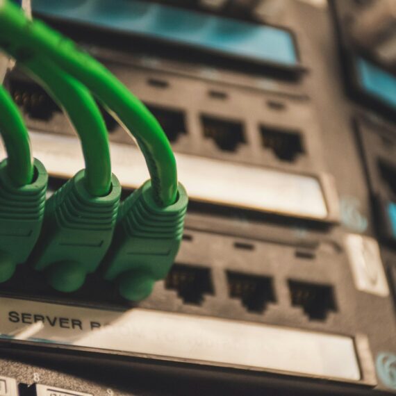 pexels-brett-sayles-1597776